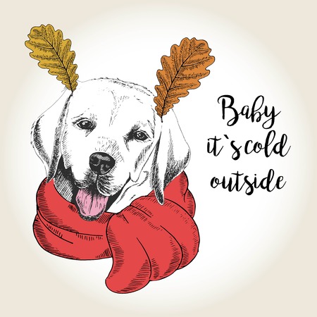 Vector close up portrait of labrador retriever, wearing the red scarf and oak leaf ears. Hand drawn domestic dog illustration. Baby it s cold outside. Autumn engraved funny illustration.のイラスト素材