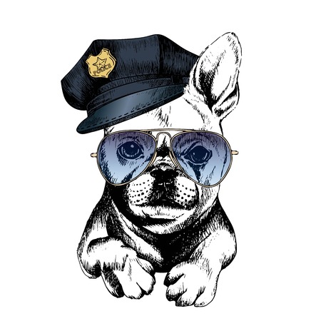 Vector close up portrait of police dog.French bulldog wearing the peak cap and sunglasses. Hand drawn domestic pet dog illustration. Isolated on white background.のイラスト素材