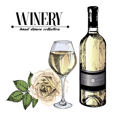 Vector set of white wine in engraved vintage style. Colored bottle, rose and glass. Isolated on white background.Decorated with lettering and blot. Use for restaurant, cafe, store, food, menu, design.のイラスト素材