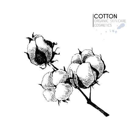 Vector set of skin care ingredients. Organic hand drawn elements. Cotton branch. Use for cosmetic package, shop, store, products,  spa salon, wellnes program, procedure, skin, hair careのイラスト素材