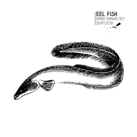 Vector hand drawn set of seafood icons. Isolated eel fish. Engraved art. Delicious marine food menu sketched objects. Use for resaurant, meal, market, store, menu, party decoration, other designのイラスト素材