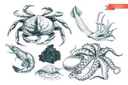 Vector hand drawn set of seafood icons. Crab, shrimp, squid, octopus, caviar and oyster. Engraved art. Delicious food menu objects. Use for resaurant, meal, market, store, menu, party decoration other designのイラスト素材