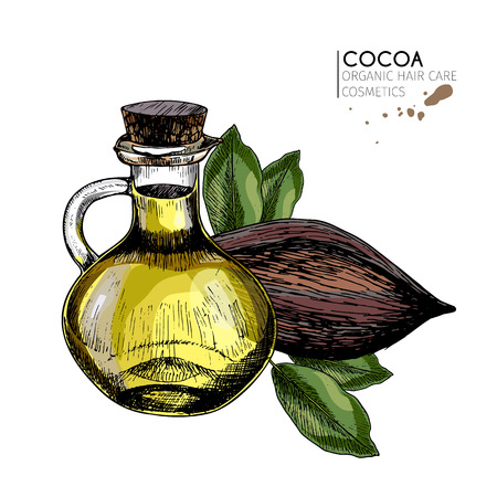 Vector set of hair care ingredients. Organic hand drawn colored elements.Cocoa bean and oil bottle. cosmetic package, shop, store, products, spa salon, wellness program, procedure, skin, beautyのイラスト素材