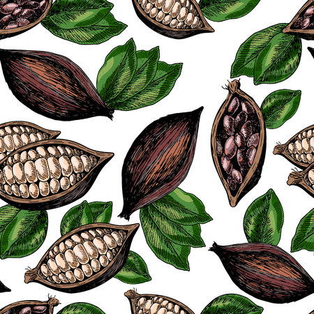 Vector seamless pattern of cocoa beans and leaves. Hand drawn colored engraved art. Healthy beauty hair nutrition. design your fashion care products, branding, identity, advertisement, promotion.のイラスト素材