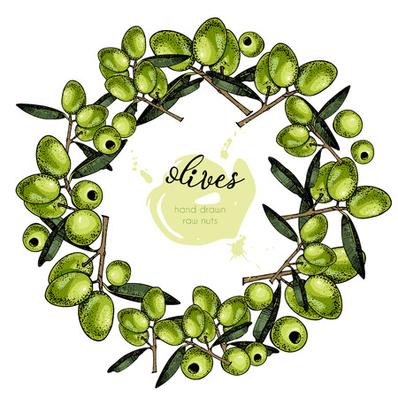 Vector set of hair care ingredients. Organic hand drawn colored elements.Green Olive wreath.cosmetic package, shop, store, products, spa salon, wellness program, procedure, skin beautyのイラスト素材