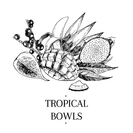 Vecotr hand drawn exotic fruits. Engraved smoothie bowl ingredients. Tropical sweet food. Fig, acai, mango, banana, pitaya, coconut.のイラスト素材
