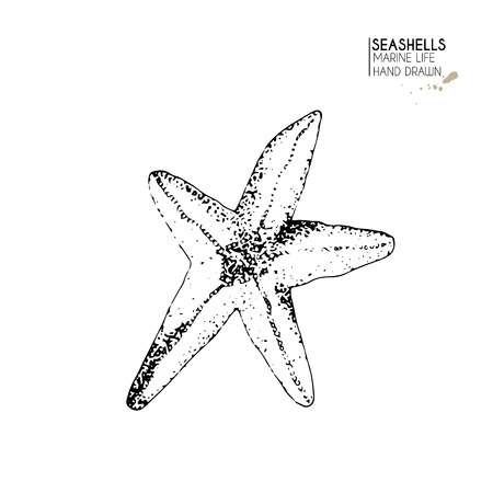 Vector hand drawn set of seashells. Isolated starfish. Underwater animal life. Tropical shell on white. Engraved art. Use for sea restaurant, travel brochure, decoration.のイラスト素材