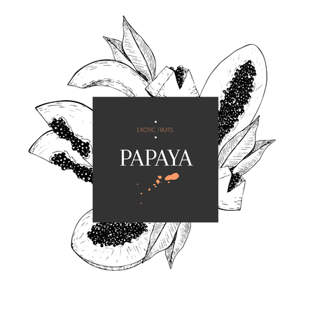 Vecotr hand drawn smoothie bowls poster. Exotic engraved fruits. Square border composition.Papaya whole, half, slice, and leaves. Use for exotic restaurant food parttyのイラスト素材