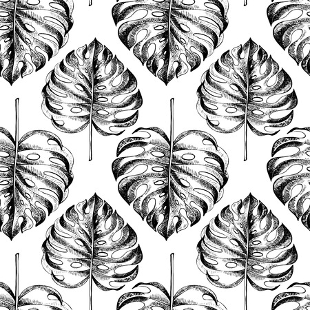 Vecotr hand drawn seamless pattern. tropical plants. Exotic engraved leaves and flowers. Isoalated on white. Monstera deliciosa palm leaves. Use for exotic beach, wedding, parttyのイラスト素材
