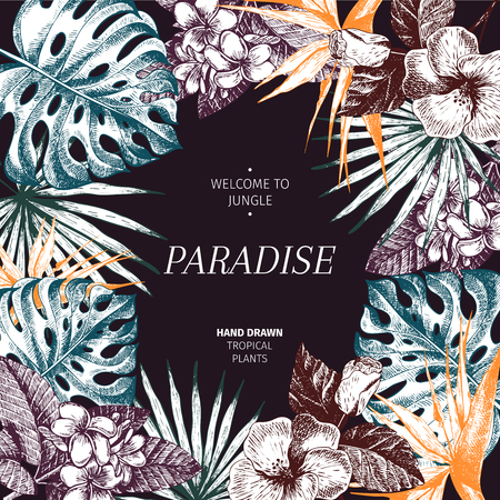 Vecotr hand drawn tropical plants poster. Exotic engraved leaves and flowers. Frame border. Monstera, livistona palm leaves, birdof paradise, plumeria, hibiscus. Use for exotic beach, wedding, parttyのイラスト素材