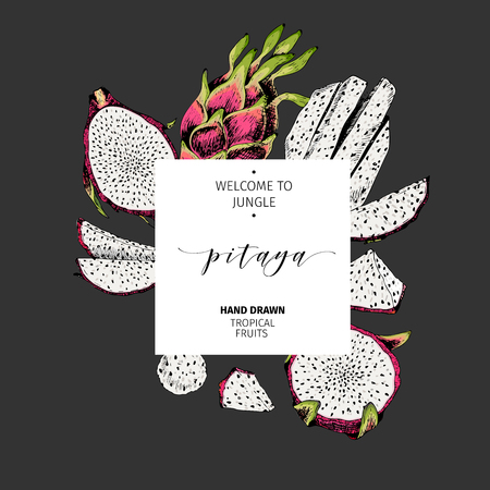 Vector hand drawn smoothie bowls poster. Exotic colored engraved fruits.のイラスト素材