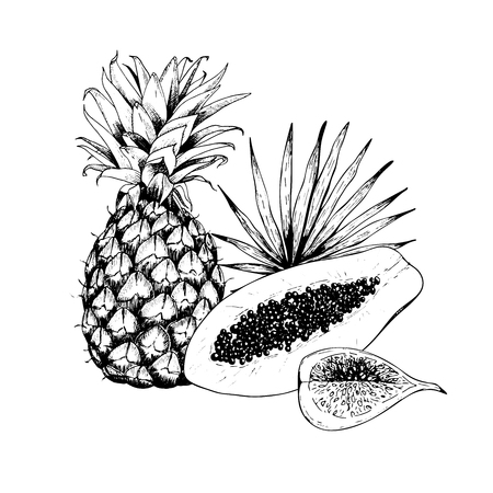 Vector hand drawn exotic fruits. Engraved smoothie bowl ingredients. Tropical sweet food.のイラスト素材