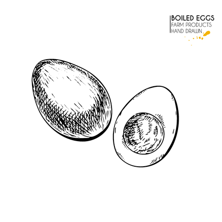 Vector hand drawn set of farm products. Isolated hen boiled egg. Engraved art. Organic sketched farming meal. Use for restaurant, breackfast menu, grocery, market, store, partyのイラスト素材