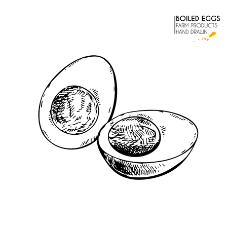 Vector hand drawn set of farm products. Isolated hen boiled egg. Engraved art. Organic sketched farming meal. Use for restaurant, breackfast menu, grocery, market, store, partyのイラスト素材