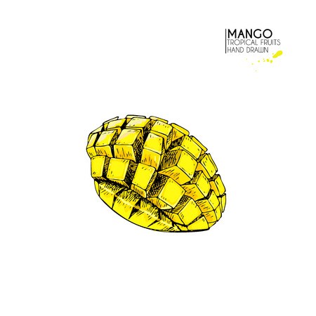 Vector hand drawn set of exotic fruits. Ioslated mango cubes. Engraved colored art. Delicious tropical vegetarian objects. for restaurant, menu, smoothie bowl, market, store, party decoration, mealのイラスト素材