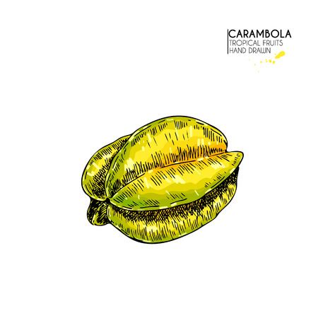 Vector hand drawn set of exotic fruits. Isolated whole carambola. Engraved colored art. Delicious tropical vegetarian objects. restaurant, menu, smoothie bowl, party decoration, mealのイラスト素材