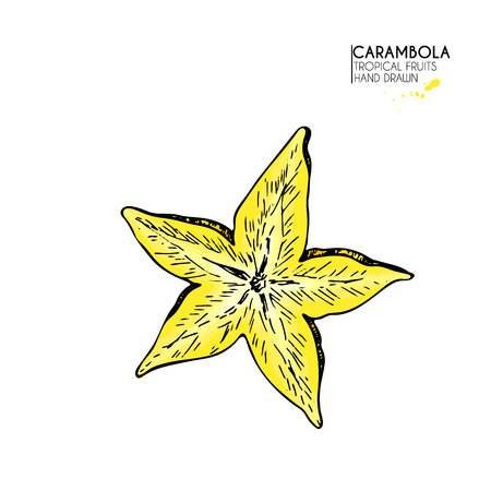 Vector hand drawn set of exotic fruits. Isolated carambola star slice. Engraved colored art. Delicious tropical vegetarian objects. restaurant, menu, smoothie bowl, party decoration, mealのイラスト素材