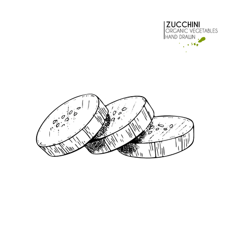 A Vector hand drawn set of farm vegetables. Isolated sliced zucchini. Engraved art. Organic sketched vegetarian objects. Use for restaurant, menu, grocery, market, store, party, mealのイラスト素材