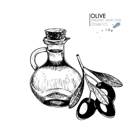 A Vector set of hair care ingredients. Organic hand drawn elements. Farm market vegetables. Olive branch and bottle. Use for cosmetic package, shop, store, products,  spa salon, wellness program, skin.のイラスト素材