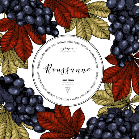Vector design template of wine branding. Hand drawn. Colored grape and leaves. Luxury wines. Frame composition. Engraved art. Use for restaurant, menu, packaging, brand, store, wineyard flyerのイラスト素材