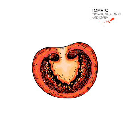 Vector hand drawn set of farm vegetables. Isolated sliced tomato. Engraved colored art. Organic sketched vegetarian objects. Use for restaurant, menu, grocery, market, store, party, mealのイラスト素材