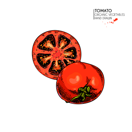 Vector hand drawn set of farm vegetables. Isolated sliced tomato. Engraved colored art. Organic sketched vegetarian objects. Use for restaurant, menu, grocery, market, store, party, mealのイラスト素材