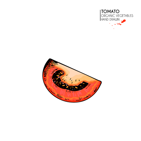 Vector hand drawn set of farm vegetables. Isolated sliced tomato. Engraved colored art. Organic sketched vegetarian objects. Use for restaurant, menu, grocery, market, store, party, mealのイラスト素材
