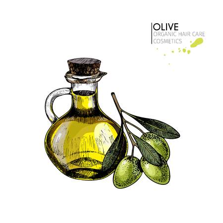 Vector set of hair care ingredients. Organic hand drawn elements. Farm market vegetables. Colored green olive branch, bottle. cosmetic package, shop, store, products, spa salon, wellnes program, skinのイラスト素材