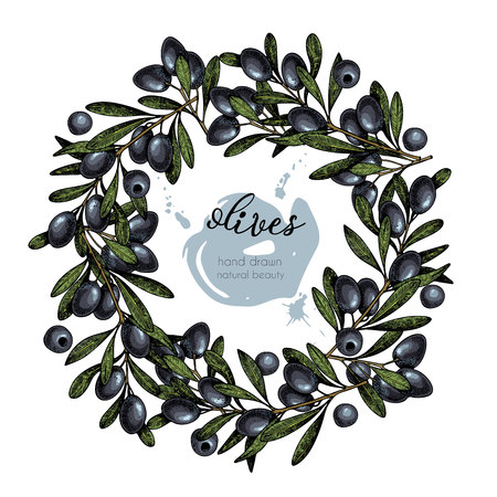 Vector set of hair care ingredients. Organic hand drawn colored elements. Black Olive wreath. cosmetic package, shop, store, products, spa salon, wellness program, procedure, skin beautyのイラスト素材