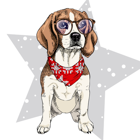 Vector portrait of beagle dog wearing winter bandana and glasses. Isolated on star and snow. Skecthed color illustraion. Christmas, Xmas, New year. Party decoration, promotion, greeting card.のイラスト素材