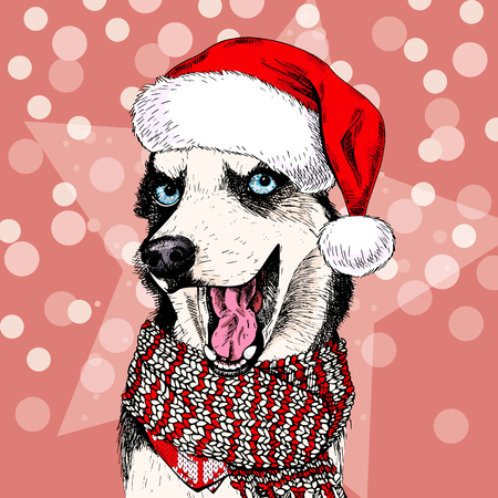 Close up vector portrait of Siberian husky dog wears Santa hat and scarf. Isolated on star and sparkle lights. Skecthed color illustraion. Christmas, Xmas, New year. Party decoration, greeting card.のイラスト素材