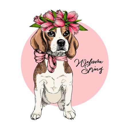 Portrait of beagle dog wearing tulip crown. Welcome spring. Hand drawn colored vector illustration. Engraved detailed art. Good for Easter greeting card, poster, banner, flyer, advertisement. のイラスト素材
