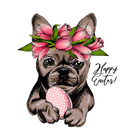 Portrait of french bulldog dog with Easter egg wearing tulip crown. Welcome spring. Hand drawn colored vector illustration. Engraved detailed art. Good for Easter greeting card, poster, banner, flyer.のイラスト素材