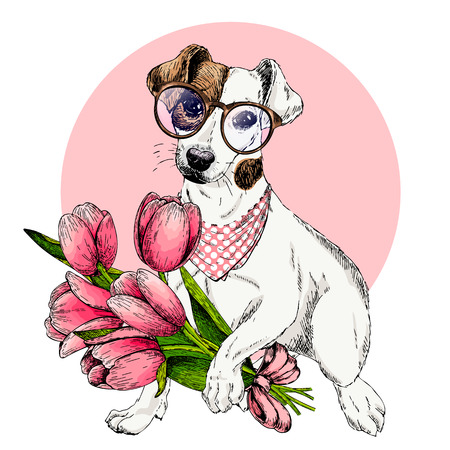 Portrait of jack Russel terrier dog with tulip bouquet. Welcome spring. Hand drawn colored vector illustration. Engraved detailed art. For Easter greeting card, poster, banner, flyer, advertisement.のイラスト素材