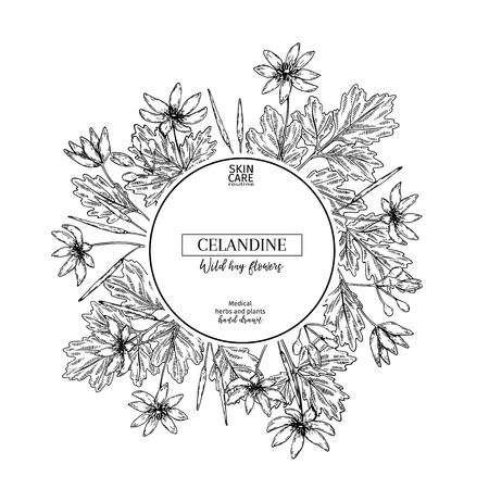 Hand drawn wild hay flowers. Celandine flower. Medical herb. Vintage engraved art. Round composition. Good for cosmetics, medicine, treating, aromatherapy, nursing, package design health careのイラスト素材