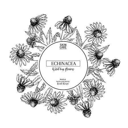 Hand drawn wild hay flowers. Echinacea flower. Medical herb. Vintage engraved art. Round composition. Good for cosmetics, medicine, treating, aromatherapy, nursing, package design health careのイラスト素材