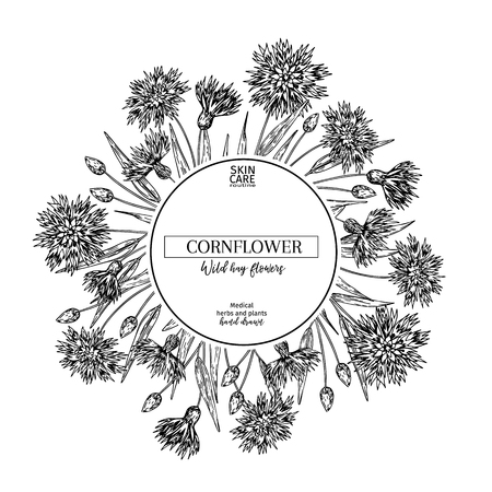 Hand drawn wild hay flowers. Cornflower flower. Medical herb. Vintage engraved art. Round composition. Good for cosmetics, medicine, treating, aromatherapy, nursing, package design health careのイラスト素材