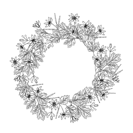 Hand drawn wild hay flowers. Celandine flower. Medical herb. Vintage engraved art. Round wreath composition. Good for cosmetics, medicine, treating, aromatherapy, nursing, package design health careのイラスト素材