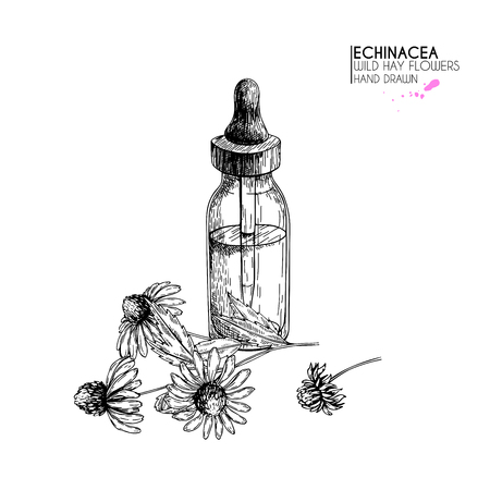 Hand drawn set of essential oilsのイラスト素材