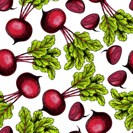 Hand drawn vector seamless pattern of beetroot whole and sliced with haulm. Colored illustration farm vegetables engraved art. Organic sketched objects restaurant, menu, grocery, market store.のイラスト素材