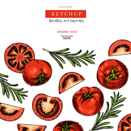 Hand drawn label of tomato and rosemary ketchup sause. Vector colored vintage art. Set of farm vegetables. Organic sketched vegetarian objects. For restaurant, menu, package, market, flyer, templateのイラスト素材