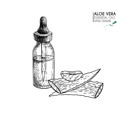 Hand drawn set of essential oils. Vector eloe vera serum. Medicinal herb with glass dropper bottle. Engraved art. Good for cosmetics, medicine, treating, aromatherapy, package design health careのイラスト素材