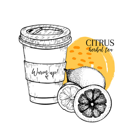 Hand drawn citrus herbal tea to go. Tea cup, lemon and orange. Vectror engraved art. Healing warm tea in paper cup. Food ingredient, aromatherapy, cooking. For restaurant menu, treating, healt careのイラスト素材