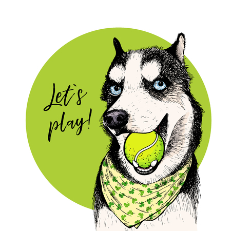 Vector portrait of Siberian husky dog with tennis ball. Let s play. Green curveball. Summer cartoon illustration. Hand drawn pet portait. Poster, t-shirt print, holiday, postcard, summertime.のイラスト素材