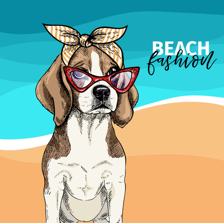 Vector portrait of beagle dog wearing sunglasses, retro bandana. Summer fashion illustration. Vacation, sea, beach, ocean. Hand drawn pet portait. Poster, t-shirt print, holiday, postcard summertimeのイラスト素材