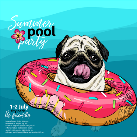 Vector portrait of pug dog swimming in water. Donut float. Summer pool paty illustration. Sea, ocean, beach. Hand drawn pet portait. Poster, t-shirt print, holiday celebration, postcard, summertimeのイラスト素材