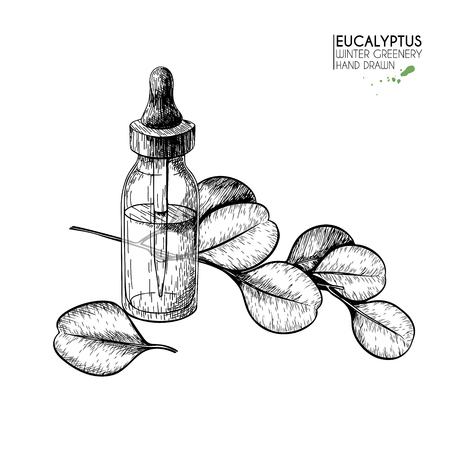 Hand drawn set of essential oils. Vector eucalyptus branch. Medicinal herb with glass dropper bottle. Engraved art. Good for cosmetics, medicine, treating, healthcare, package design,  aromatherapyのイラスト素材