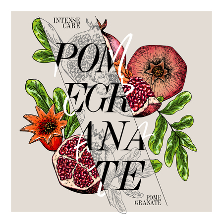 Hand drawn set of beauty product label design. Vector pomegranate cosmetic. Typography template. Engraved art. Essential oils, medicine, treating, aromatherapy, package design, health careのイラスト素材