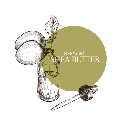 Hand drawn set of essential oils. Vector shea nut butter. Medicinal herb with glass dropper bottle. Engraved art. Good for cosmetics, medicine, treating, aromatherapy, package design health careのイラスト素材