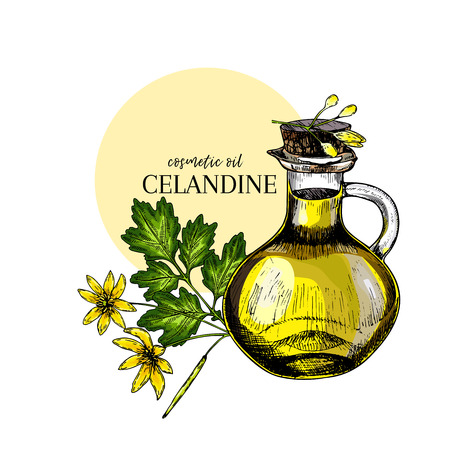 Hand drawn set of essential oils. Vector celandine flower. Medicinal herb with vintage glass dropper bottle. Colored Engraved art. Good for cosmetics, medicine, treating, package design healthcareのイラスト素材